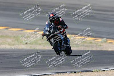 media/Apr-14-2024-SoCal Trackdays (Sun) [[70f97d3d4f]]/5-Bowl Exit (1020am)/